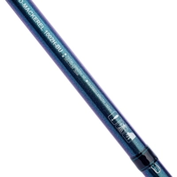 Daiwa D-Mackerel Combo 10ft